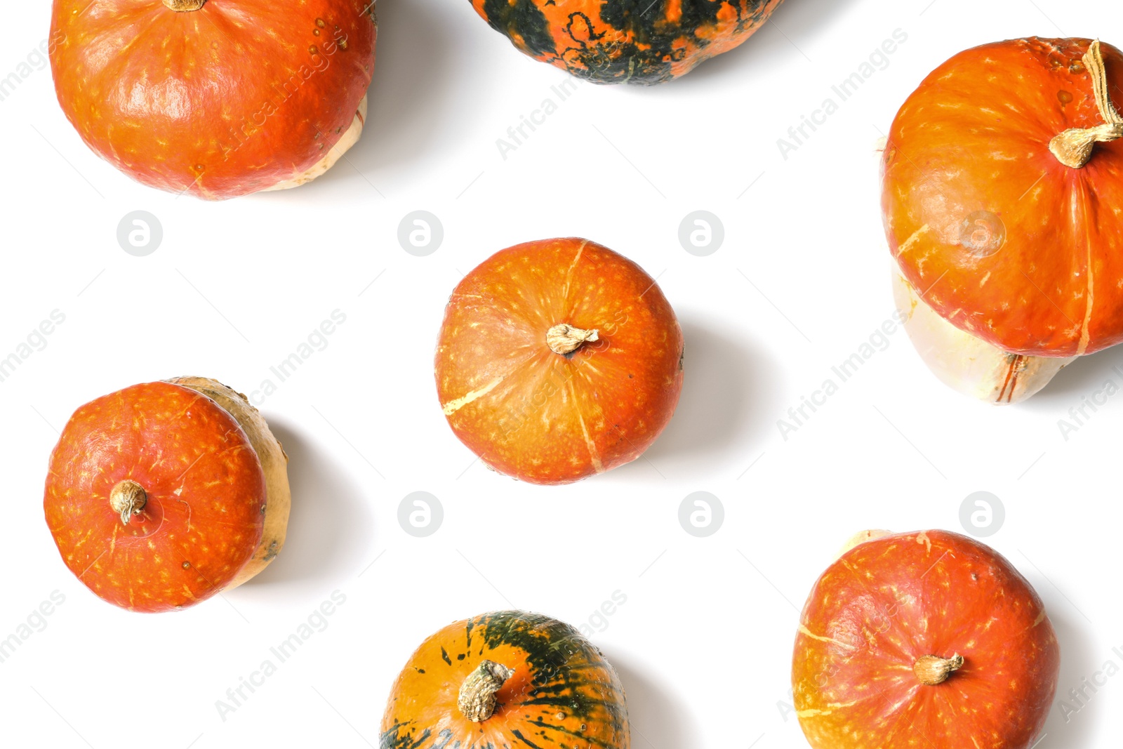 Photo of Flat lay composition with orange pumpkins on white background. Autumn holidays