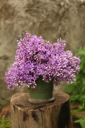 Photo of Beautiful lilac flowers in bucket on wooden stump