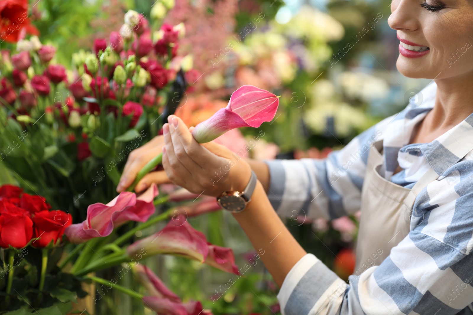 Photo of Female florist working in flower shop, closeup