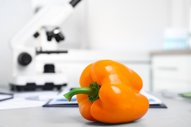 Photo of Bell pepper on table in laboratory, closeup. Poison detection