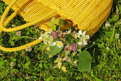 Photo of Yellow wicker bag with different wildflowers and herbs in meadow on sunny day, above view