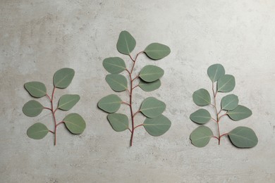 Photo of Eucalyptus branches with fresh green leaves on grey stone background, flat lay