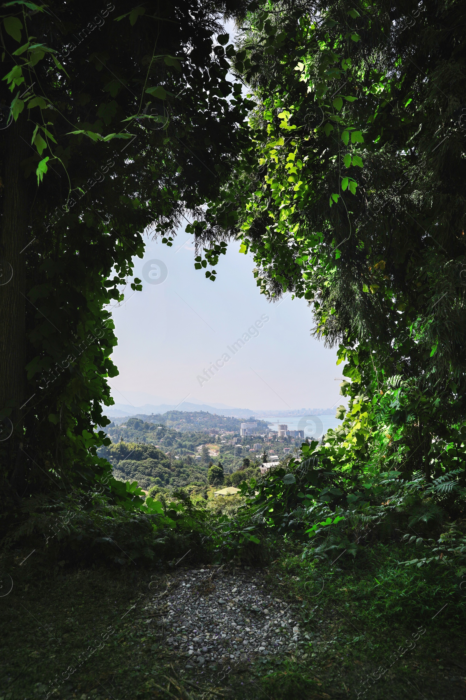 Photo of View through park thicket of beautiful cityscape