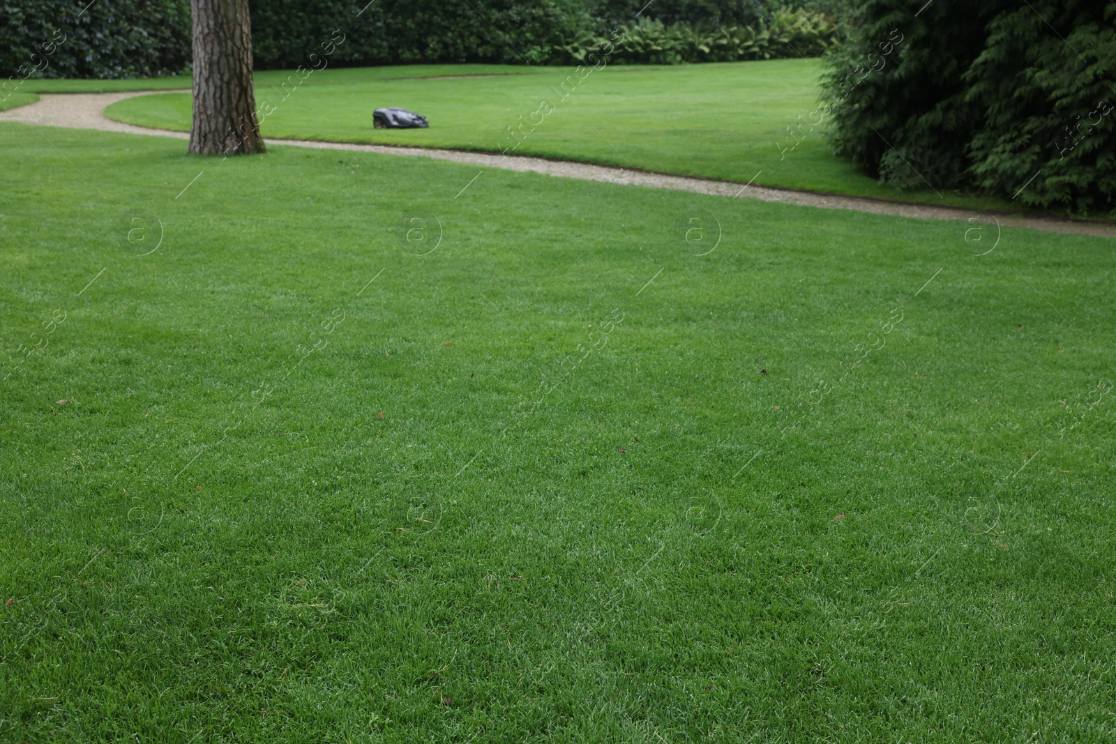 Photo of Beautiful freshly cut green lawn in park