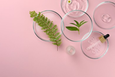 Photo of Petri dishes with different plants and cosmetic products on pink background, flat lay. Space for text