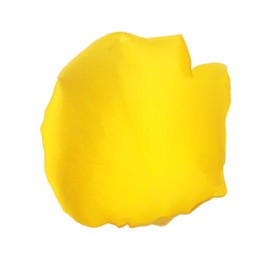 Photo of Beautiful yellow rose petal isolated on white