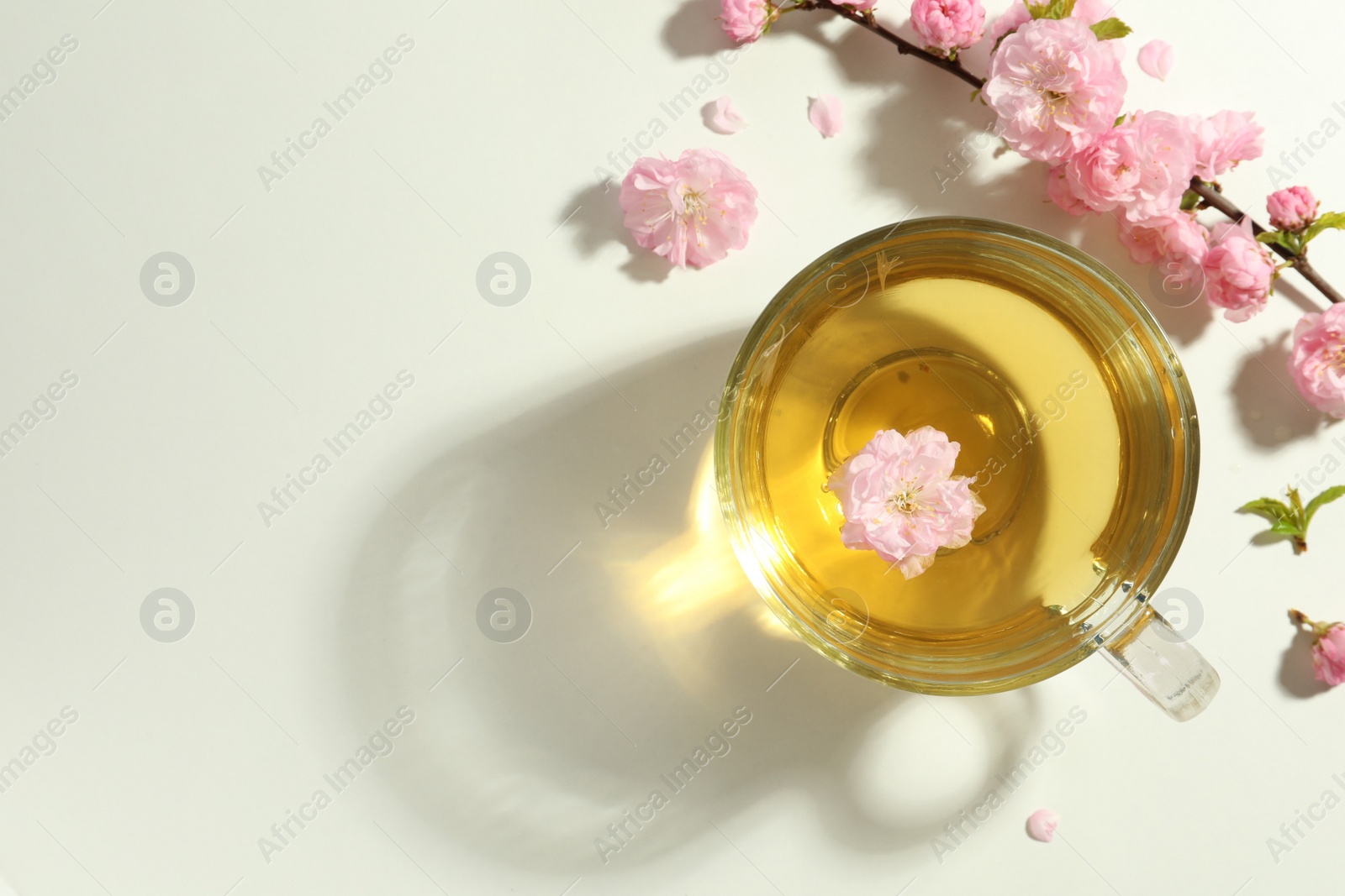 Photo of Glass cup of freshly brewed tea and beautiful flowers on light table, flat lay. Space for text