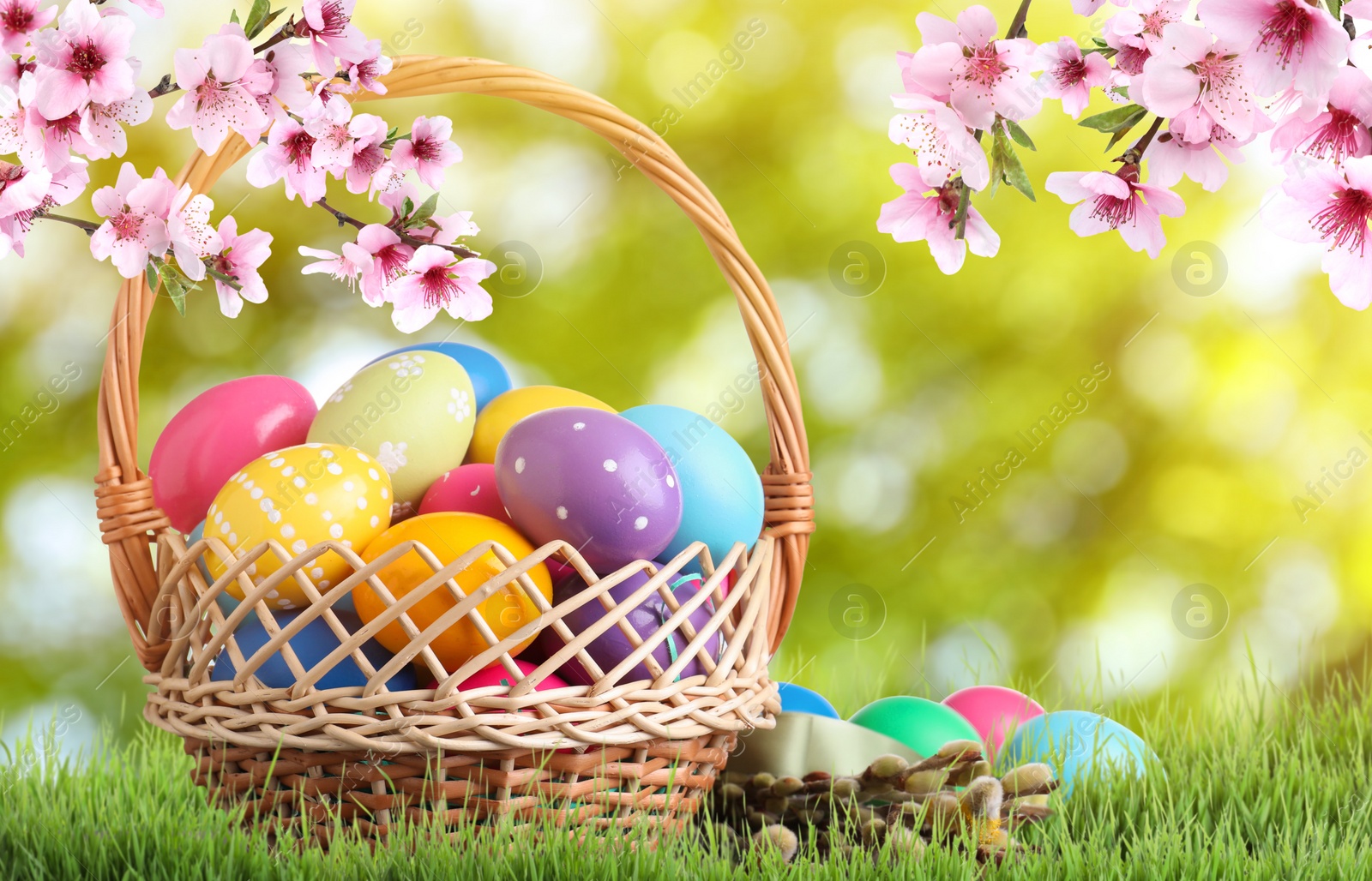 Image of Colorful Easter eggs in wicker basket on green grass outdoors