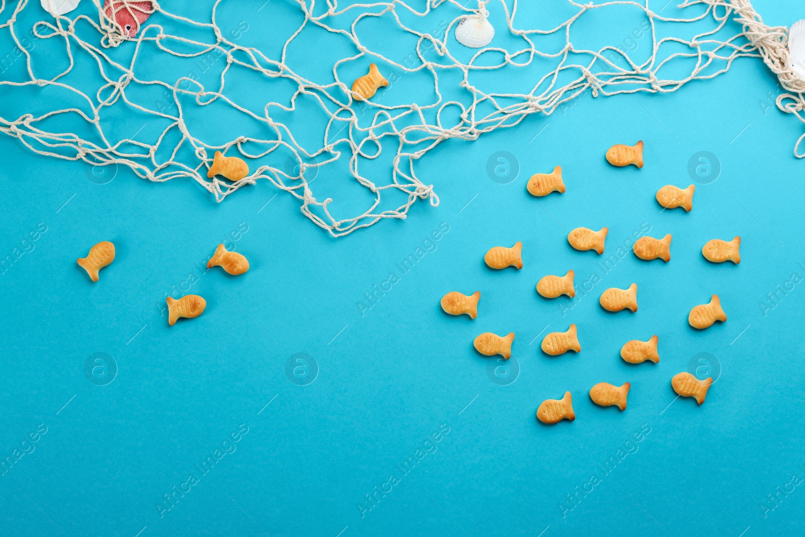 Photo of Underwater life represented with goldfish crackers on blue background, flat lay