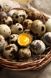 Photo of Wicker bowl with quail eggs and straw on table, closeup