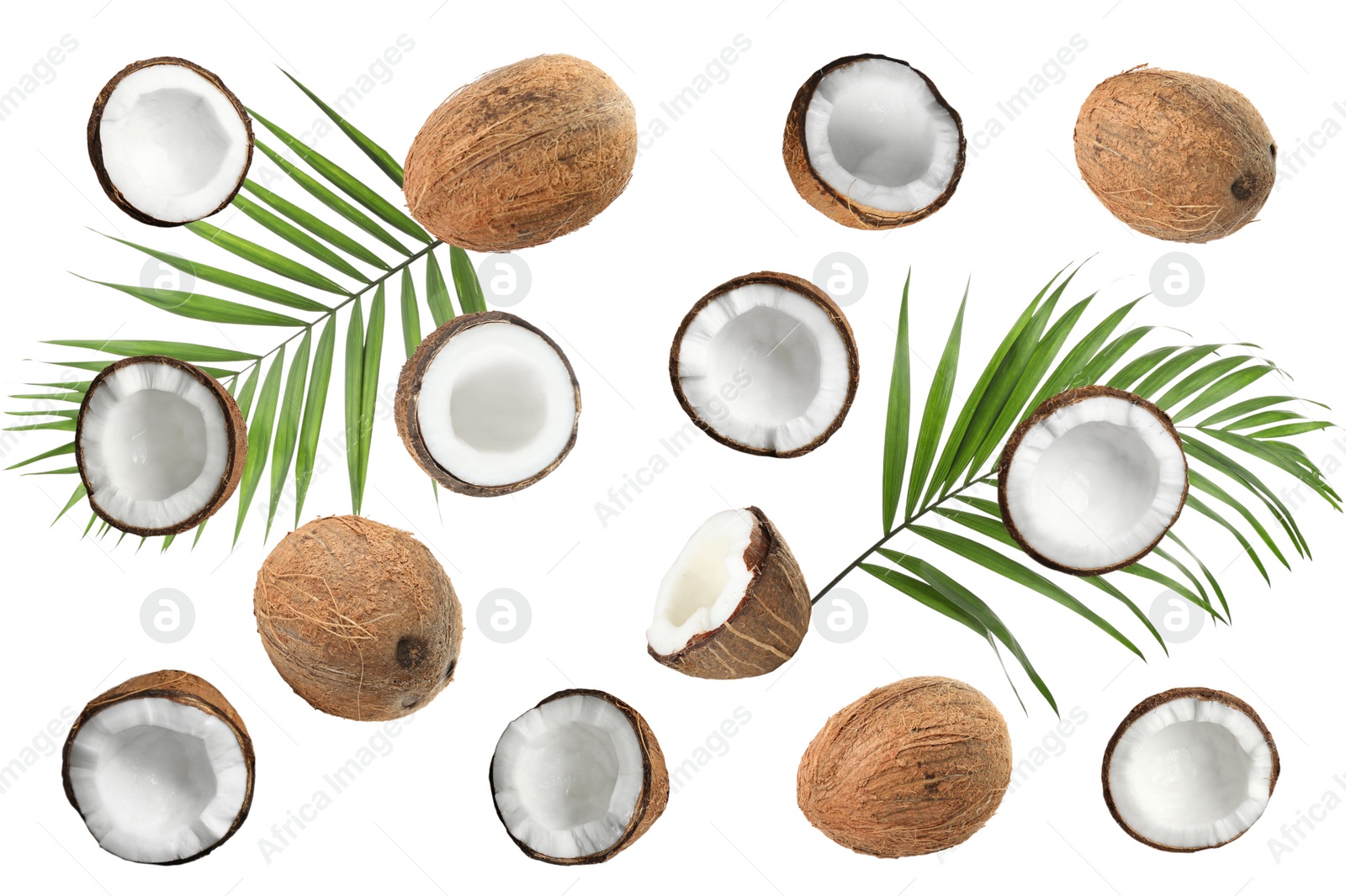 Image of Set with ripe coconuts and palm leaves on white background, top view