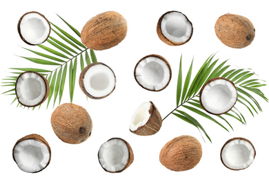 Image of Set with ripe coconuts and palm leaves on white background, top view