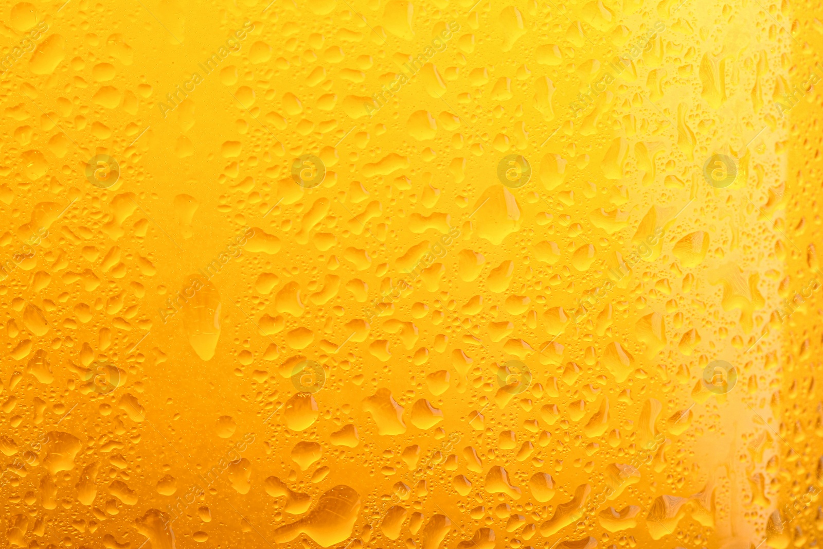 Photo of Glass of tasty cold beer with condensation drops as background, closeup