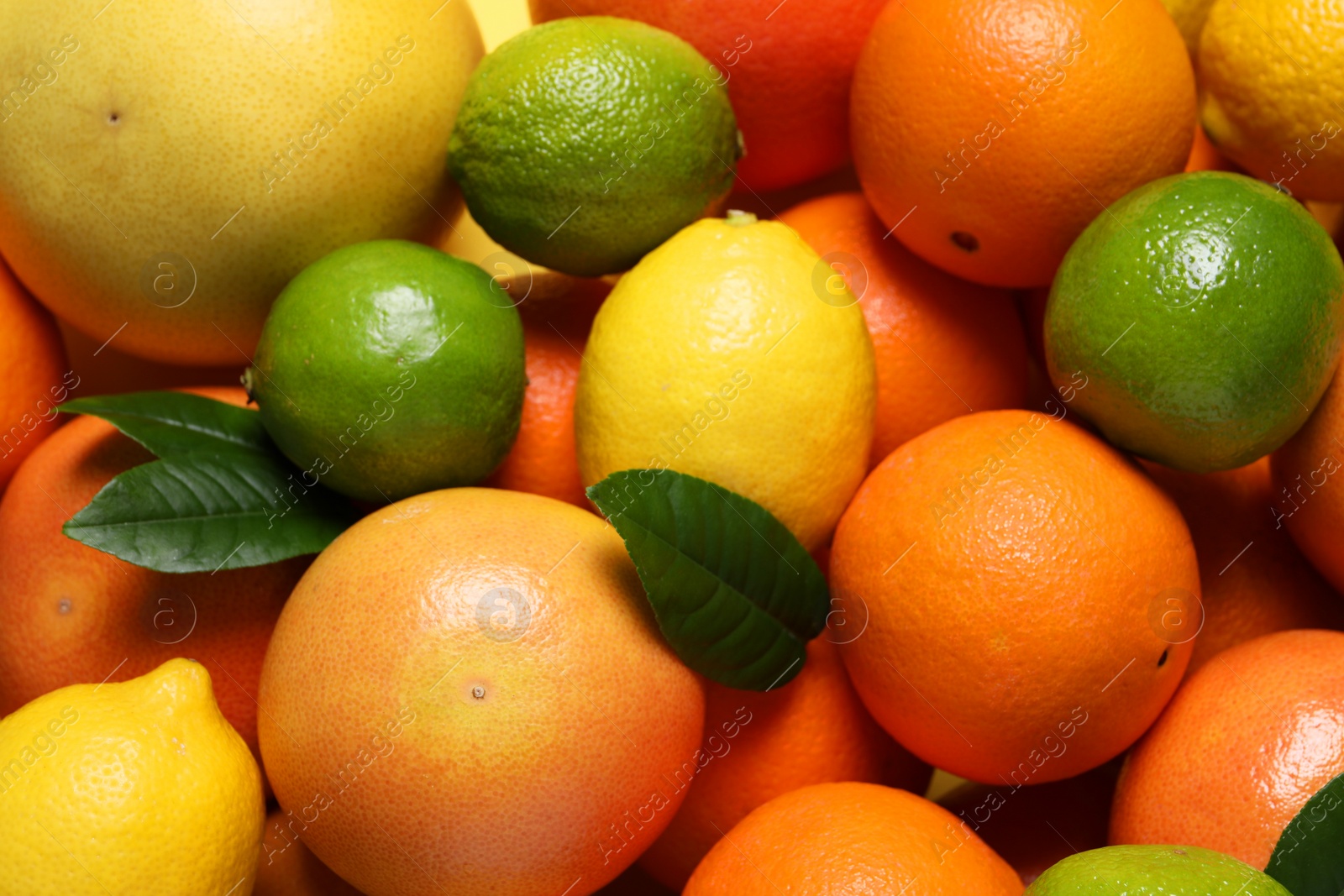 Photo of Different fresh citrus fruits and leaves as background, above view