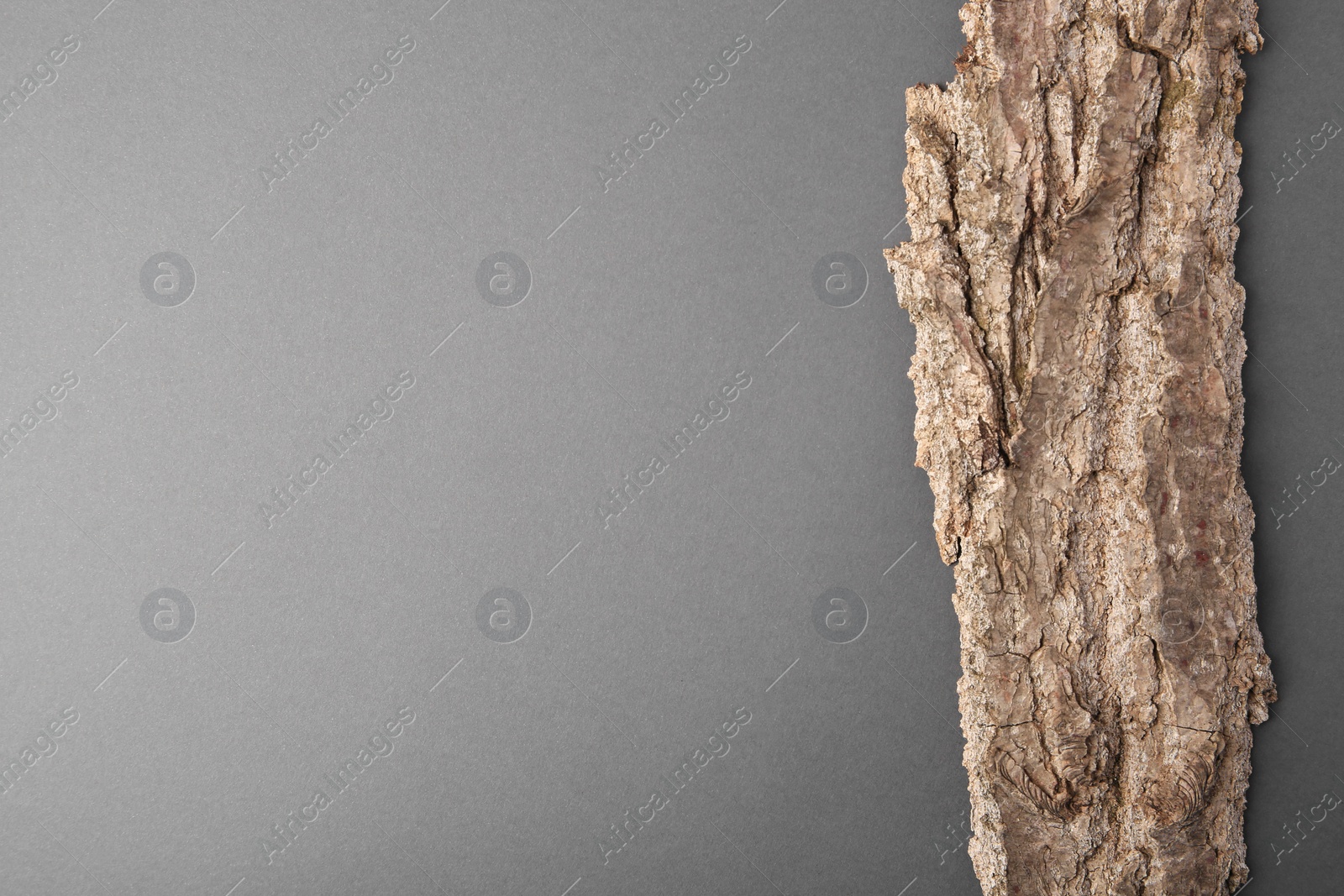 Photo of Tree bark piece on gray background, top view. Space for text