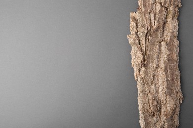 Photo of Tree bark piece on gray background, top view. Space for text