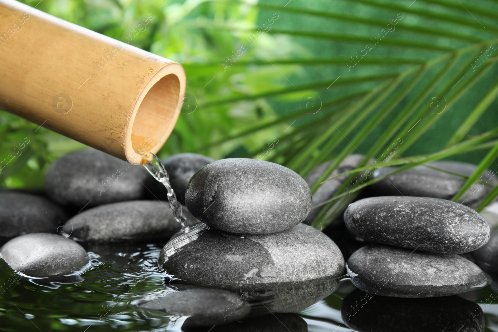 Photo of Traditional bamboo fountain with zen stones. Space for text