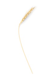 Photo of One ear of wheat isolated on white