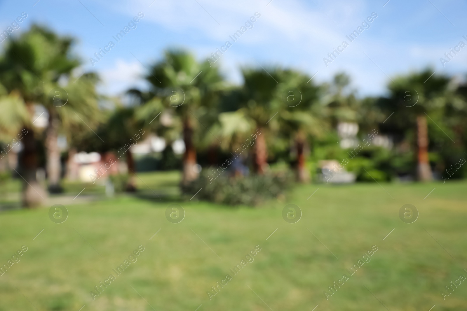 Photo of Blurred view of tropical resort on sunny summer day