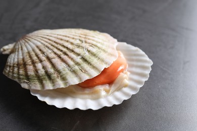 Photo of Fresh raw scallop with shell on grey table, closeup