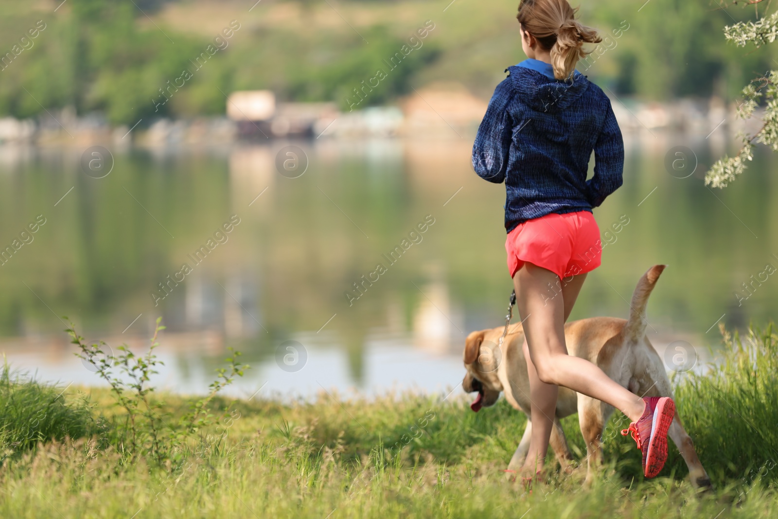 Photo of Young woman and her dog spending time together outdoors. Pet care
