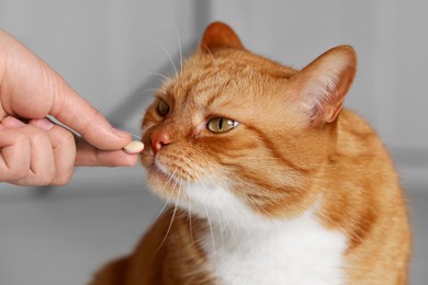 Photo of Woman giving vitamin pill to cute cat indoors, closeup