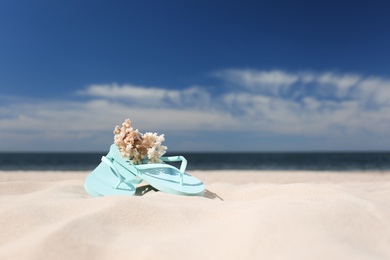 Photo of Stylish flip flops and beautiful coral on sand near sea, space for text. Beach accessories for summer vacation