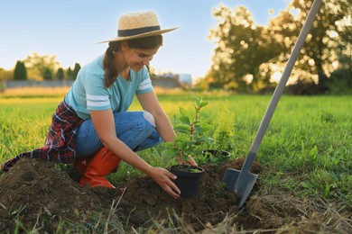 Photo of Happy young woman planting tree in countryside