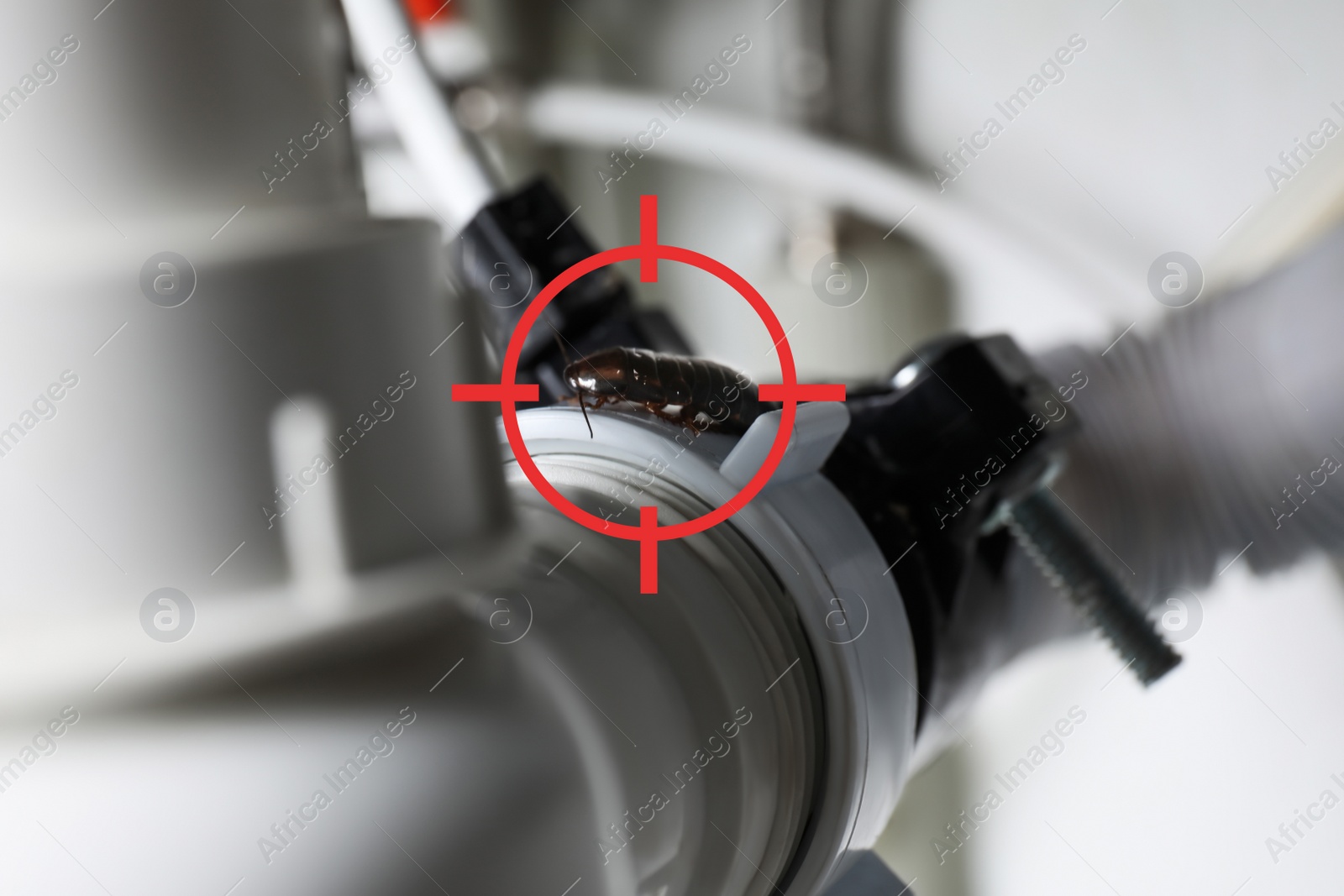 Image of Cockroach with red target symbol on white pipe, closeup. Pest control