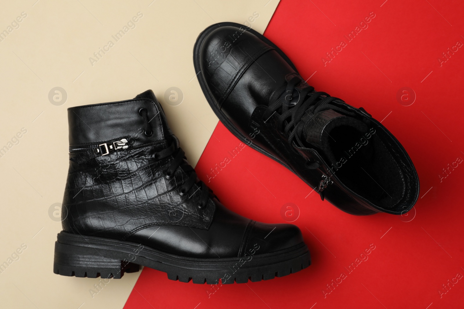 Photo of Stylish black female boots on color background, flat lay