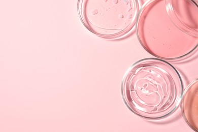 Photo of Petri dishes with liquids on pale pink background, flat lay. Space for text