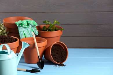 Photo of Many terracotta flower pots with soil, plants and gardening tools on light blue wooden table. Space for text