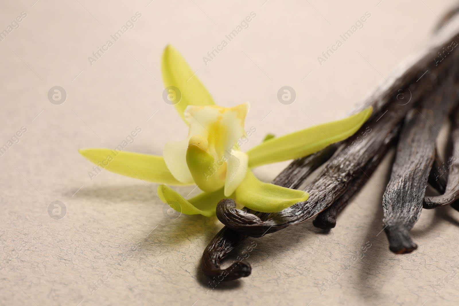 Photo of Vanilla pods and beautiful flower on beige background, closeup