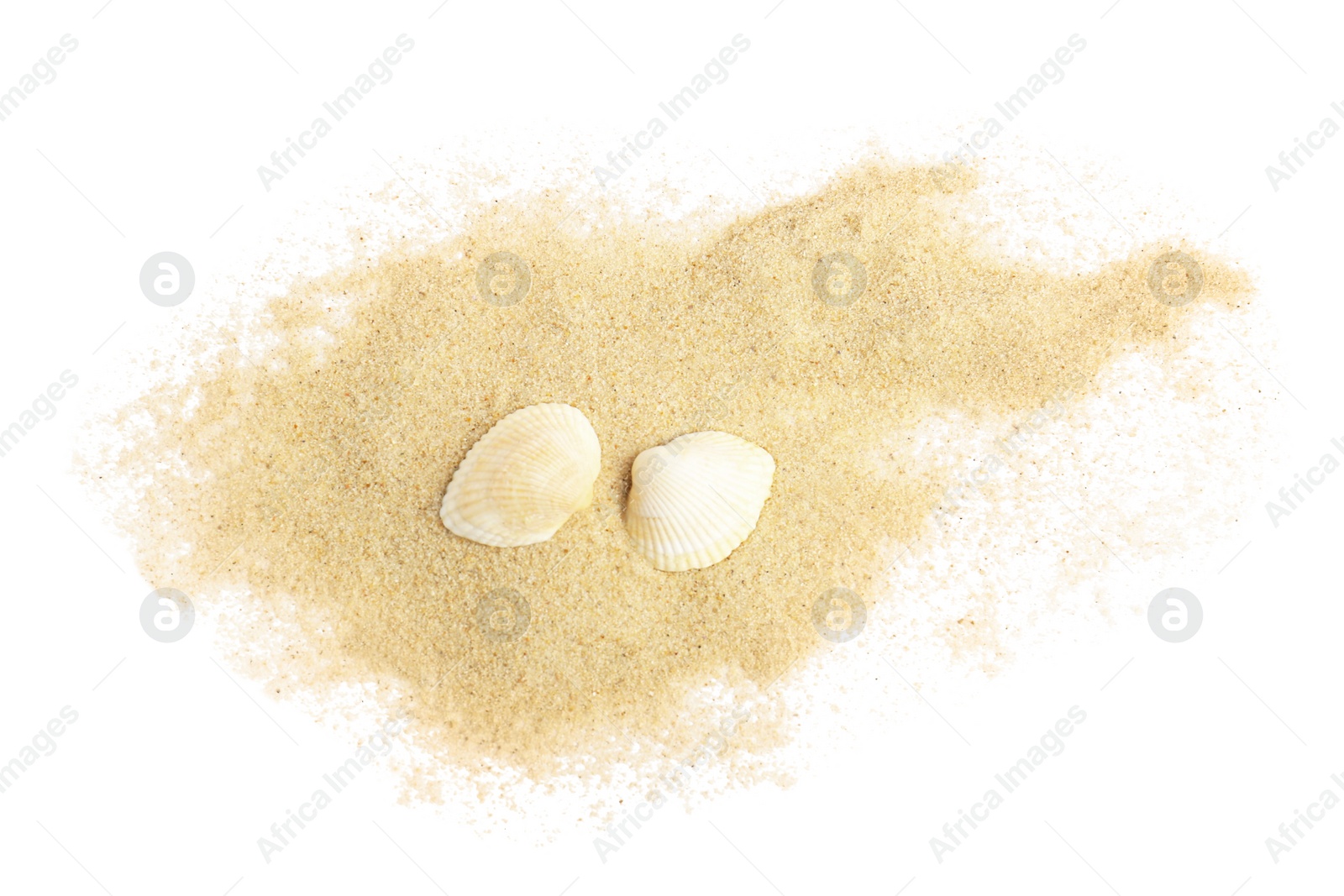 Photo of Beautiful sea shells and sand on white background, top view