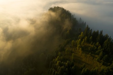 Image of Aerial view of beautiful landscape with misty forest