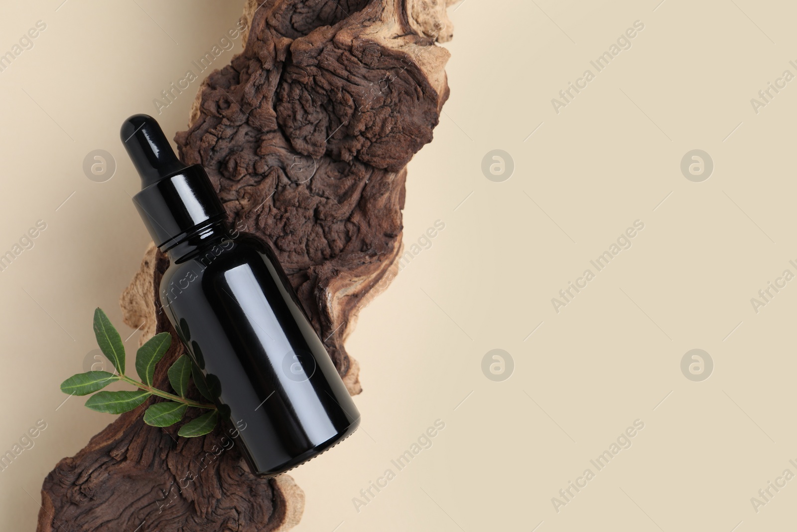 Photo of Bottle with cosmetic oil, green leaves and wooden snag on beige background, top view. Space for text
