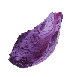 Photo of Fresh red cabbage leaf isolated on white