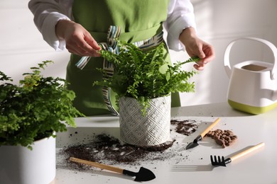 Photo of Woman taking care of fern at white table indoors, closeup