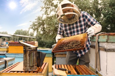 Beekeeper with hive frame at apiary. Harvesting honey