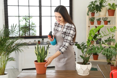 Photo of Young woman spraying plant with water at home