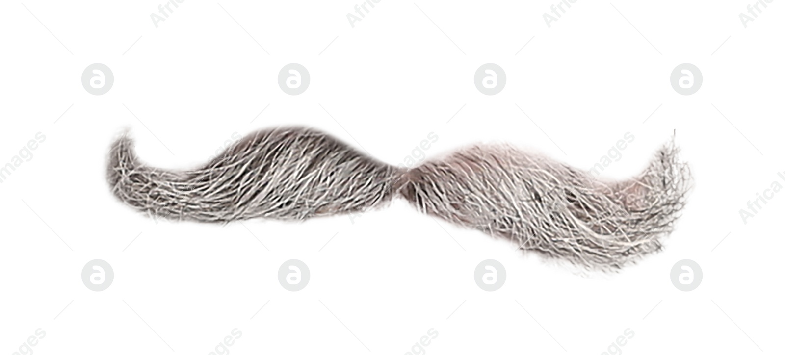 Image of Stylish gray mustache isolated on white. Facial hair