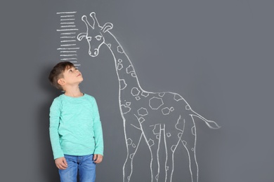 Cute little child measuring height near chalk giraffe drawing on grey background