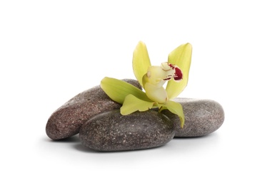 Photo of Spa stones with beautiful orchid flower on white background