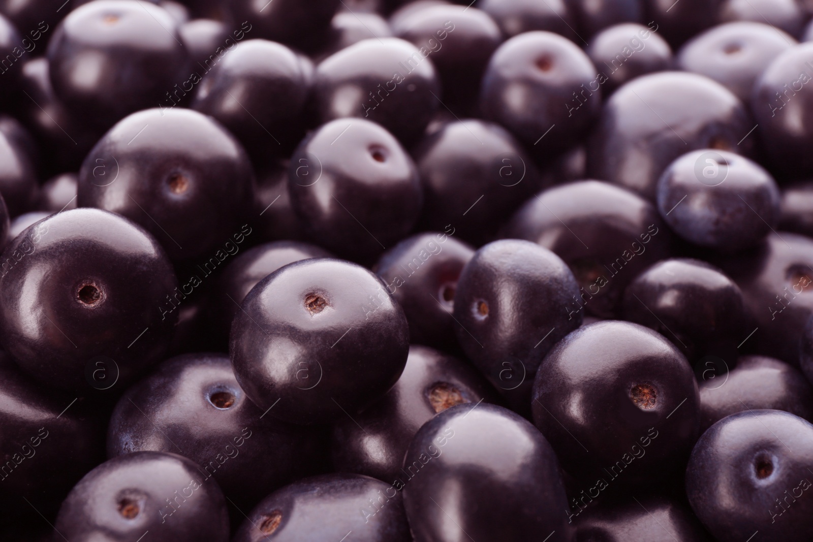 Photo of Fresh ripe acai berries as background, closeup