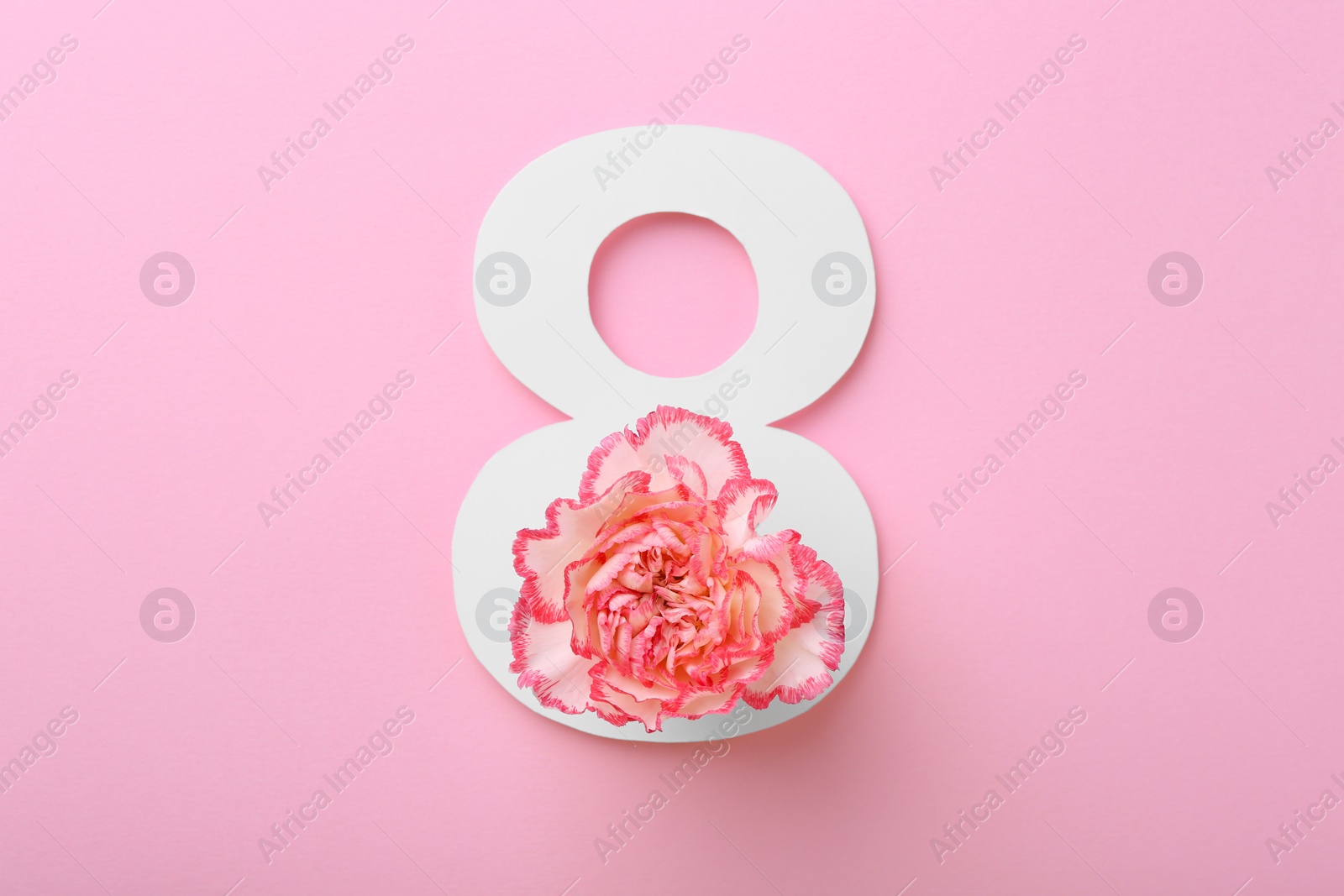 Photo of Paper number 8 and beautiful carnation flower on pink background, top view