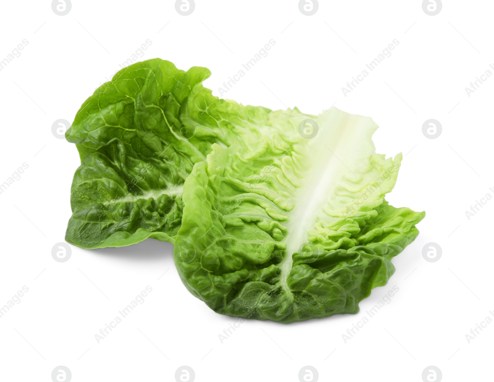 Photo of Fresh green leaves of romaine lettuce isolated on white