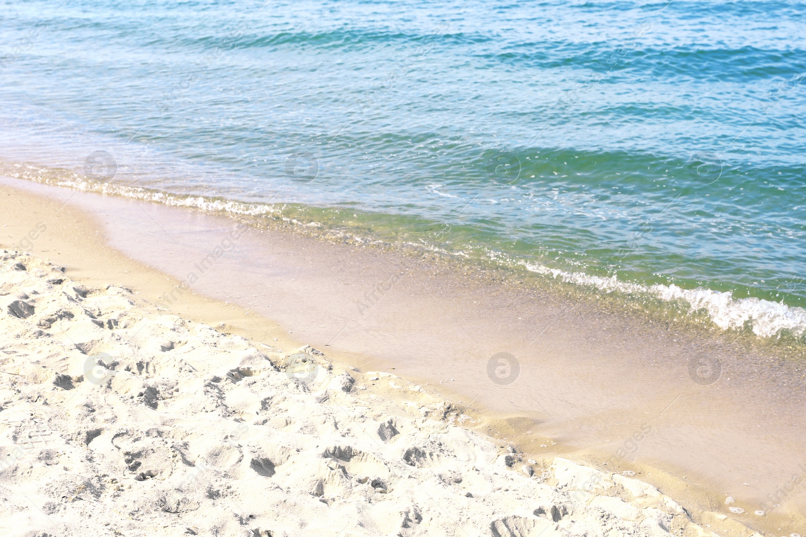 Photo of Sandy beach near sea on sunny day