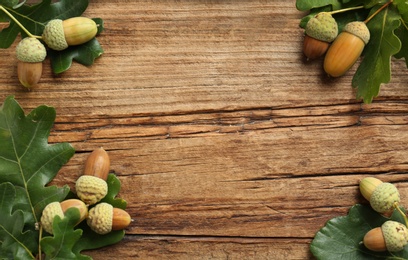 Photo of Oak branches with green leaves and acorns on wooden table, flat lay. Space for text