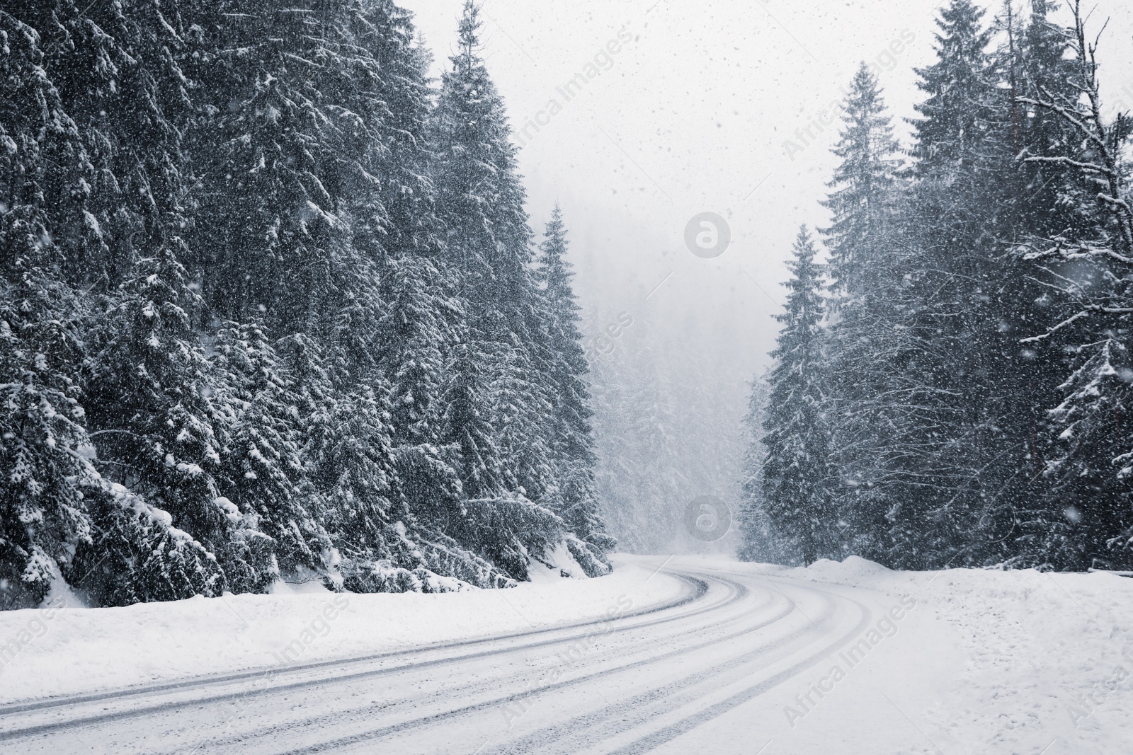Photo of Beautiful landscape with road and conifer forest on snowy winter day