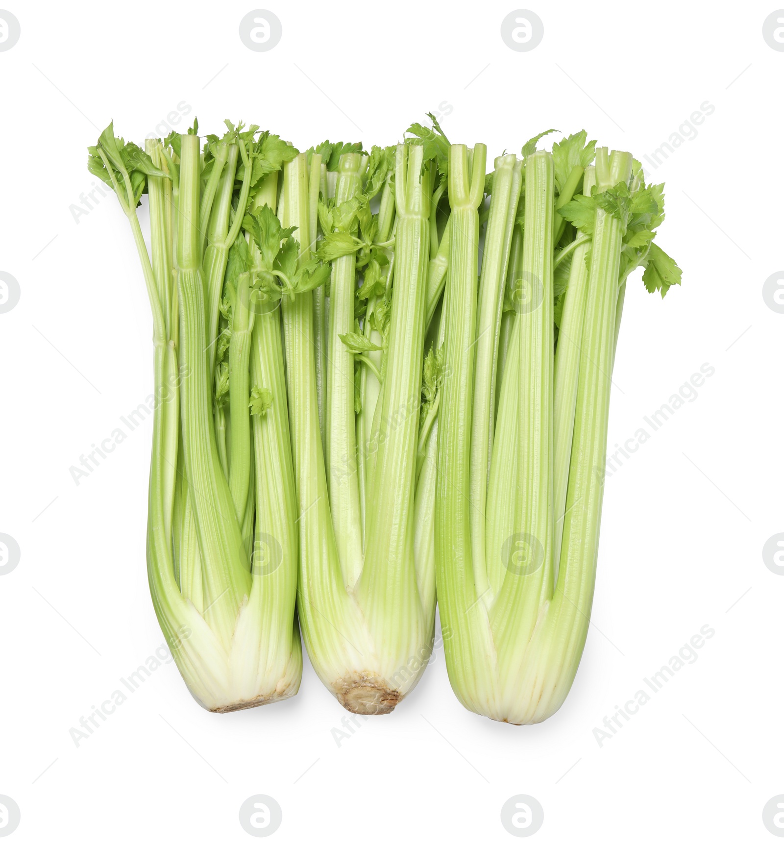 Photo of Fresh green celery bunches isolated on white, top view
